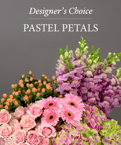 Pastel Designer's Choice